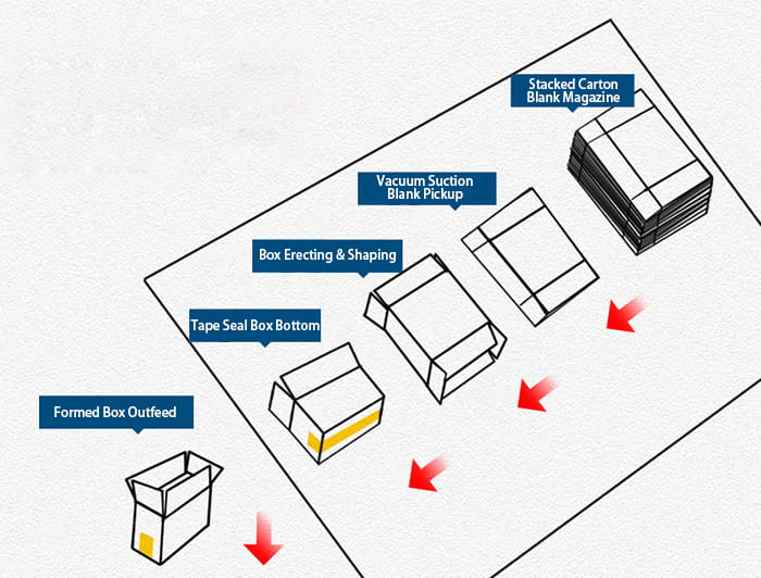 Cardboard Box Erector Machine - Packaging Machine - 8