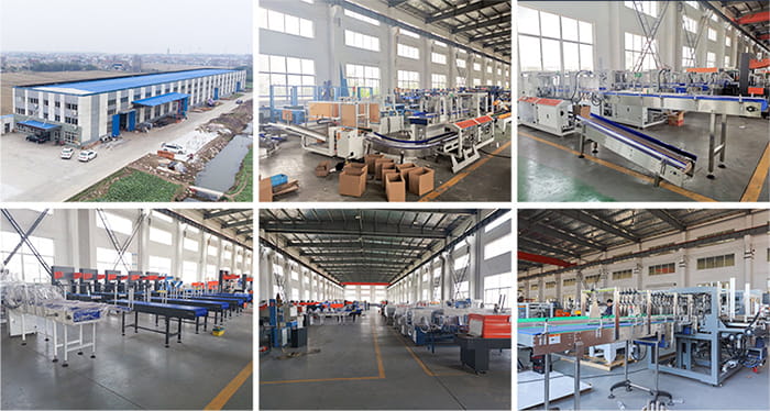 Case Packing Machine