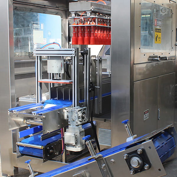 Case Packing Machine - Packaging Machine - 3