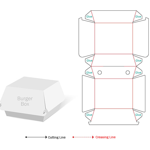 Folding Carton Erector - Packaging Machine - 14