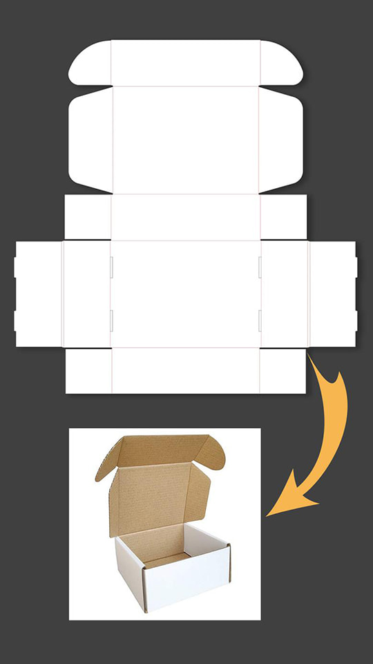 1 2 3 Bottom Box Erector - Packaging Machine - 35