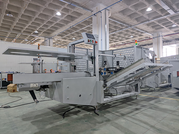 Case Erector - Packaging Machine - 27